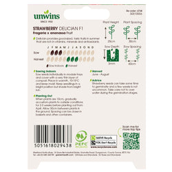 Strawberry Delician F1 Seeds - KeansClaremorris