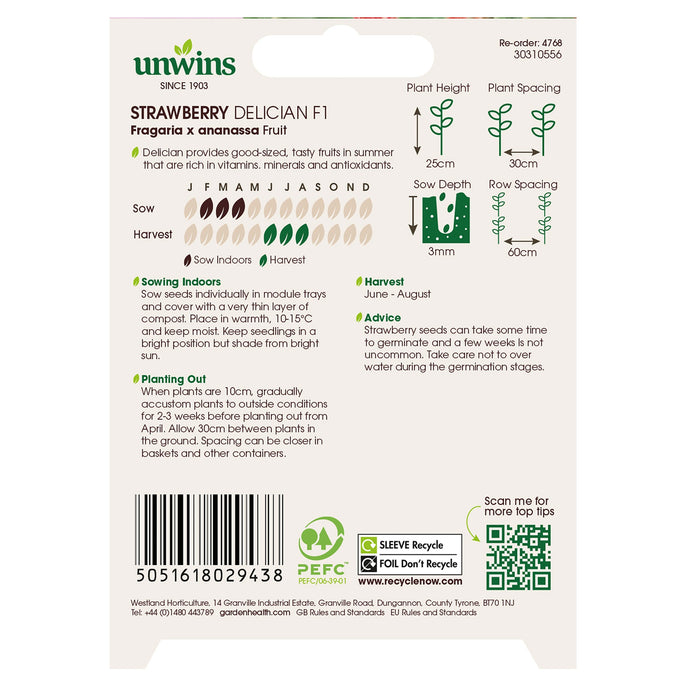 Strawberry Delician F1 Seeds - KeansClaremorris