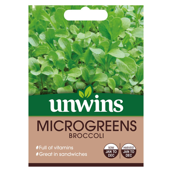 MicroGreens Broccoli