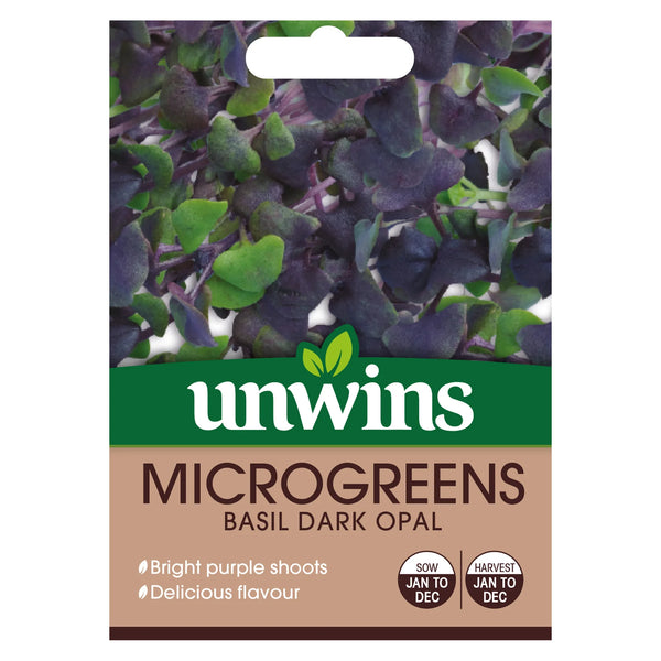 MicroGreens Basil Dark Opal