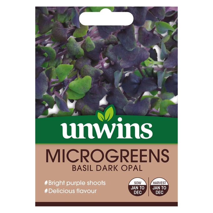 MicroGreens Basil Dark Opal - Image 1