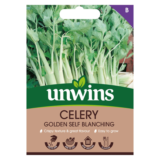 Celery Golden Self Blanching - Image 1