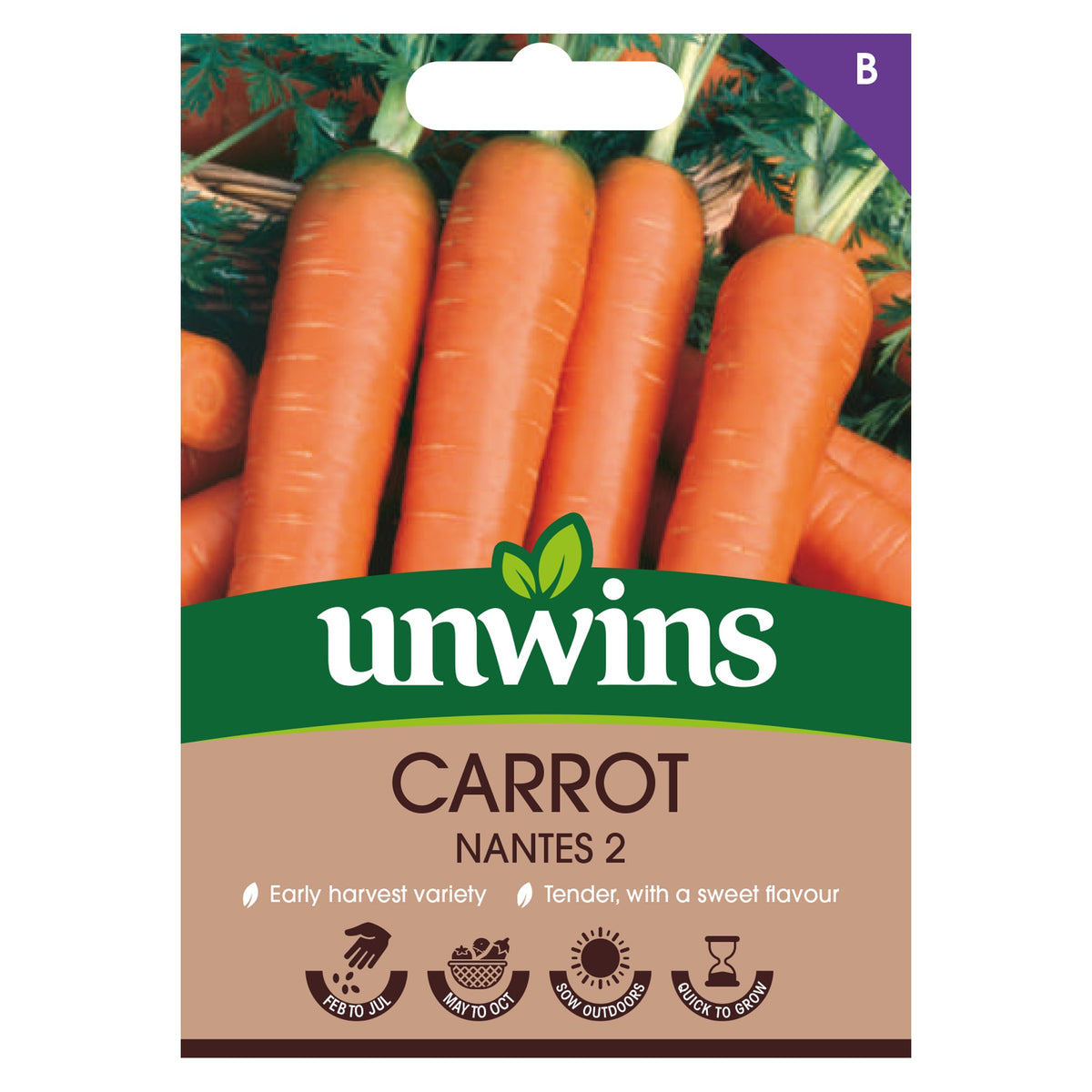 Carrot Nantes 2 Seeds - early harvest, sweet tender carrots, long orange roots, quick growing, perfect for pots. Keans