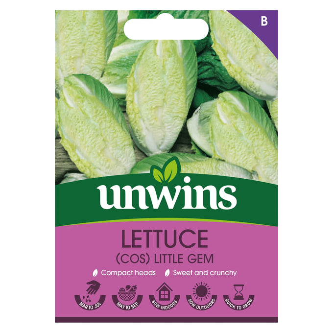 Lettuce (Cos) Little Gem - Image 1