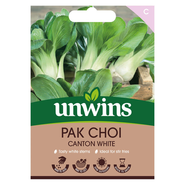 Pak Choi Canton White