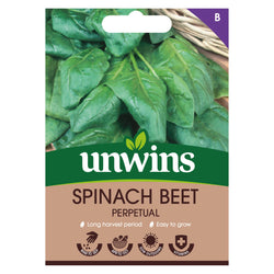Spinach Beet Perpetual Seeds, easy to grow, long harvest Apr-Oct, quick to grow, vitamin-rich, 250 seeds – Keans Claremorris