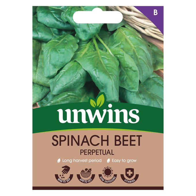 Spinach Beet Perpetual Seeds, easy to grow, long harvest Apr-Oct, quick to grow, vitamin-rich, 250 seeds – Keans Claremorris