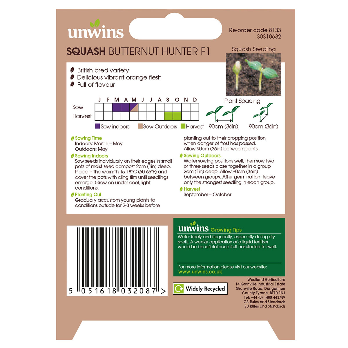 Butternut Squash Hunter F1 Seeds packet for home gardening, high yield variety - Keans Claremorris