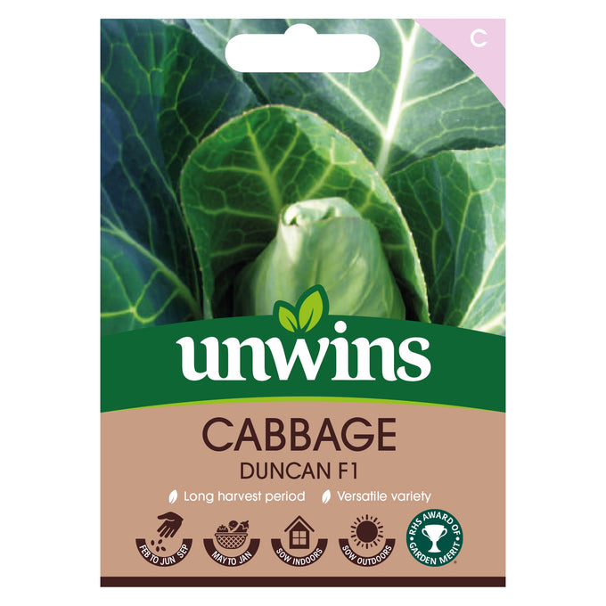 Cabbage Duncan F1 Seeds by Keans Claremorris, F1 hybrid, long harvest May-Jan, versatile for leafy greens or dense heads.