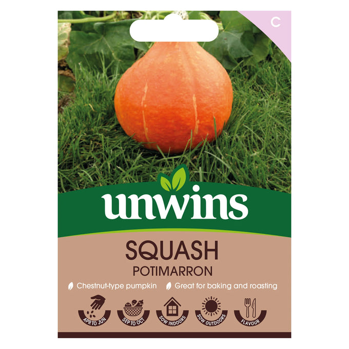 Squash Potimarron - Image 1