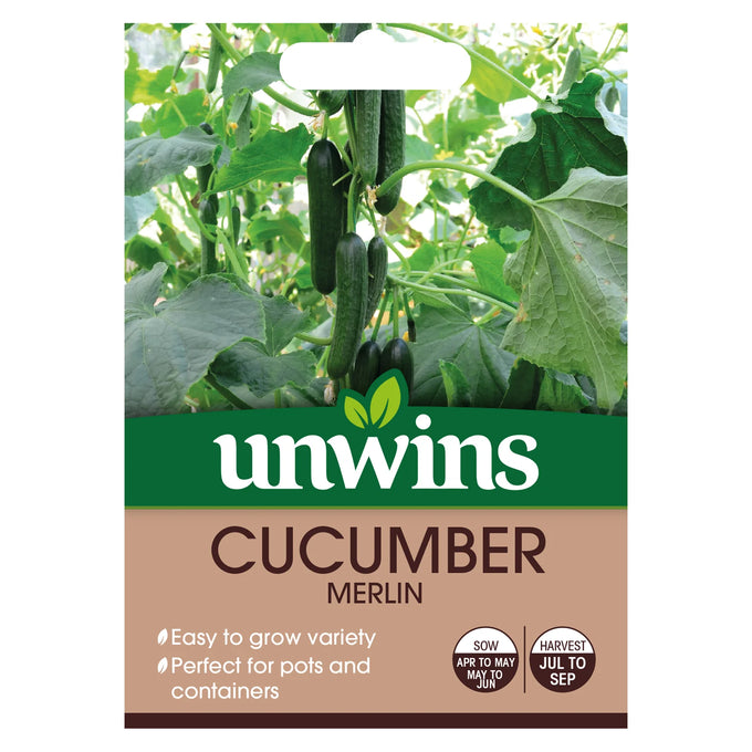 Cucumber Merlin - Image 1
