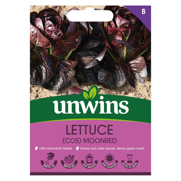 Lettuce Moonred Little Gem Red