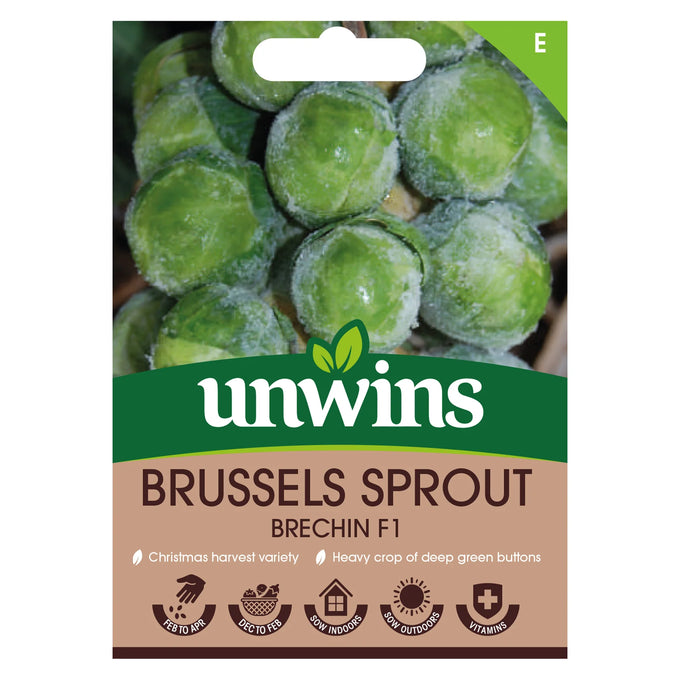 Brussels Sprout Brechin F1 - Image 1