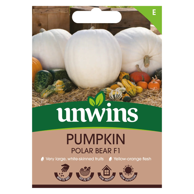 Pumpkin Polar Bear F1 - Image 1