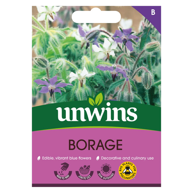 Herb Borage - Image 1