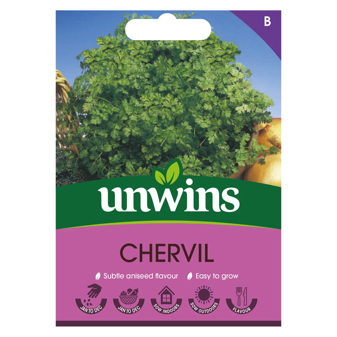 Herb Chervil - Image 1