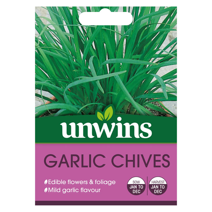 Herb Garlic Chives - Image 1