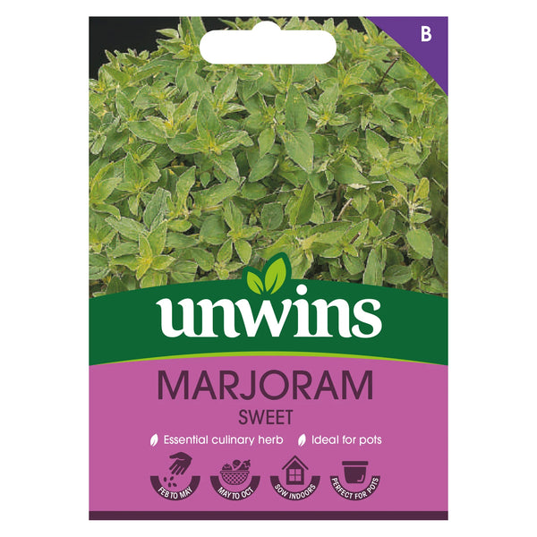 Herb Marjoram Sweet
