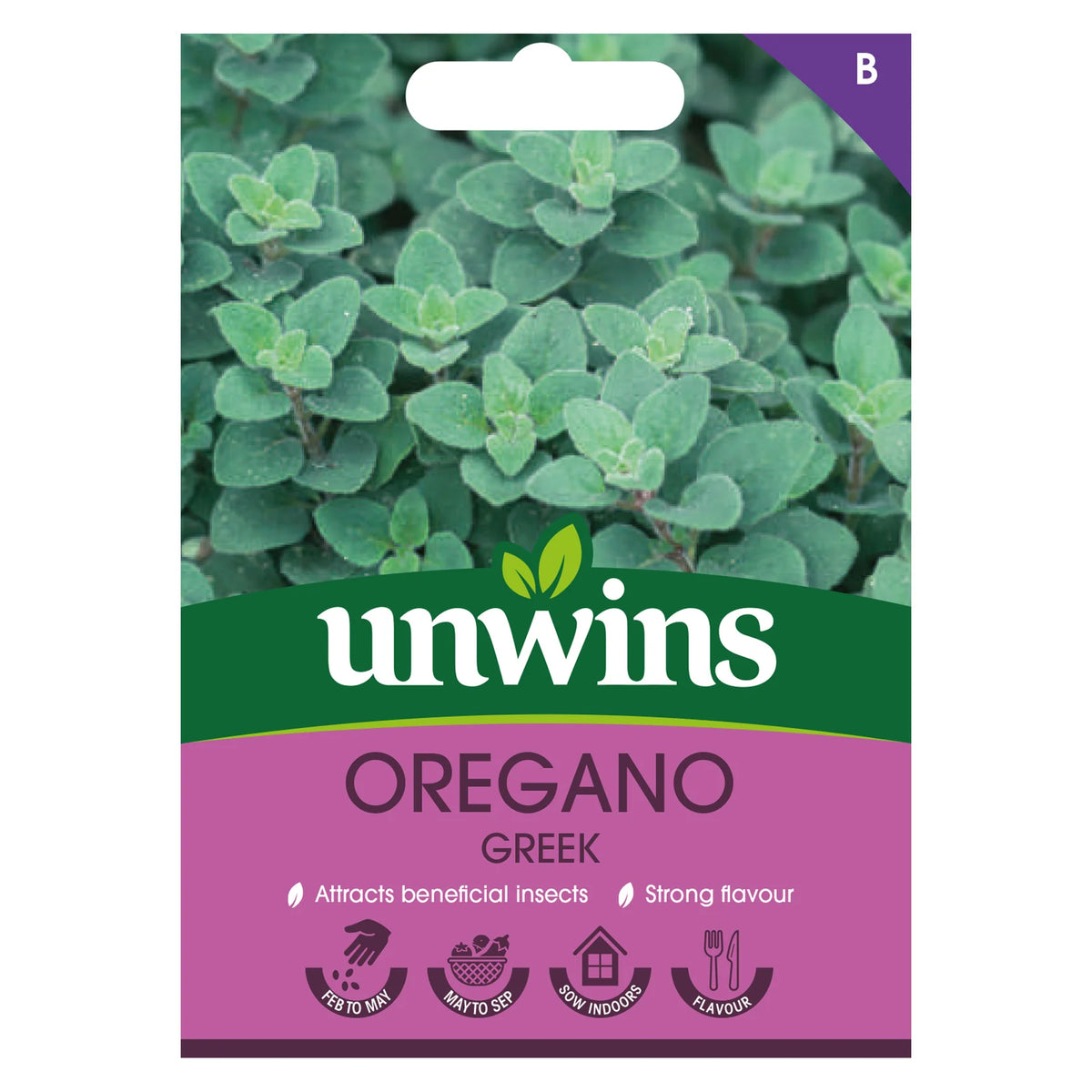 Unwins Greek oregano seed packet showing close-up of oregano leaves and planting icons on purple label