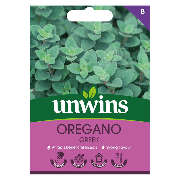 Herb Oregano Greek - Image 1