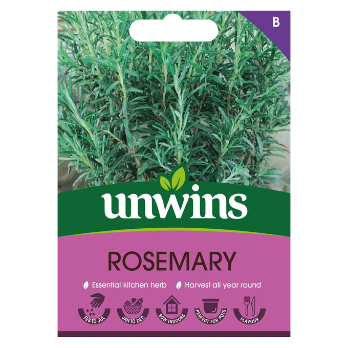 Herb Rosemary - Image 1