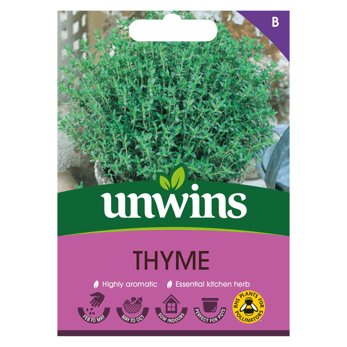 Unwins Thyme seed packet showing a lush thyme plant and planting icons on a purple background.