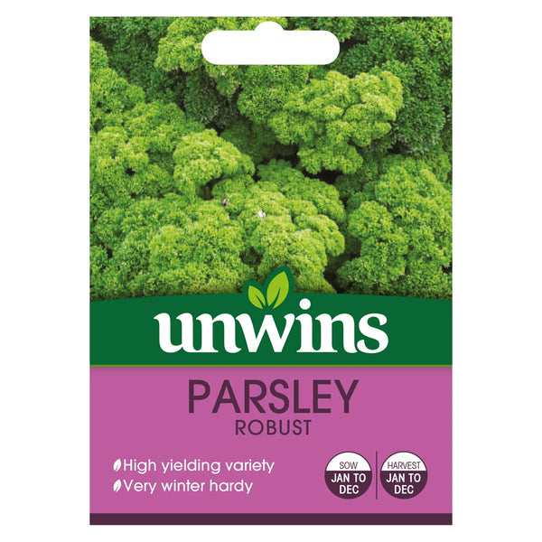 Herb Parsley Robust