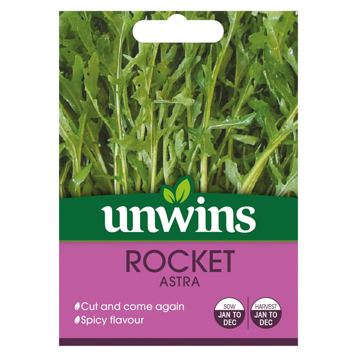 Unwins Rocket Astra seed packet showing green rocket leaves and sowing details on purple background