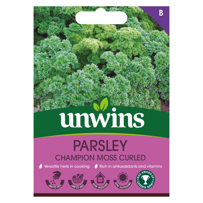 Herb Parsley Champion Moss Curled - Image 1