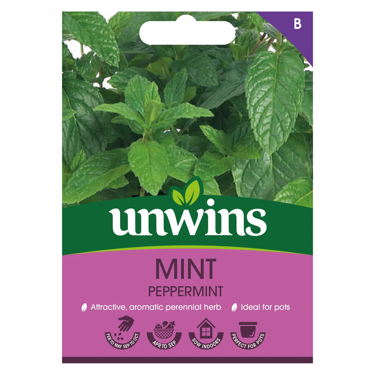 Unwins Herb Peppermint seed packet with green mint leaves and purple label showing planting icons.