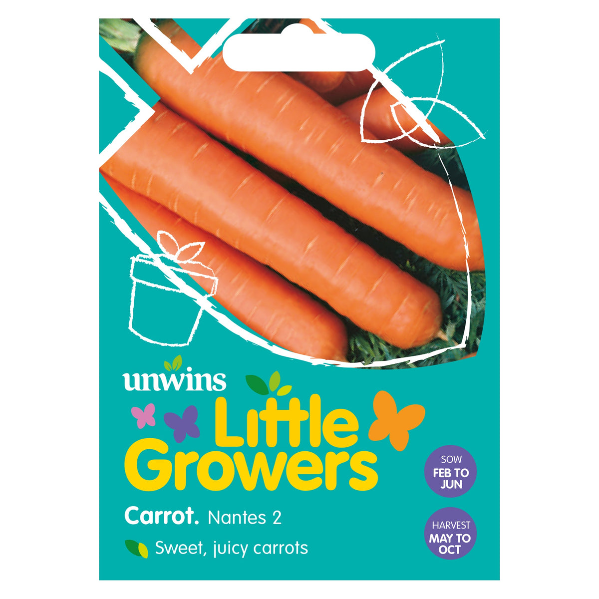 Orange Nantes 2 carrots seeds, easy to grow, vitamin-rich, sow Feb-Jul, harvest May-Oct, 200 seeds - Keans Claremorris