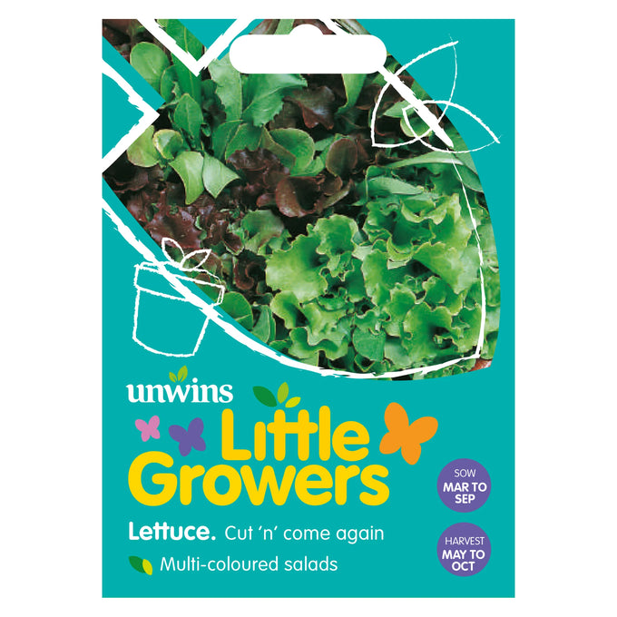 Little Growers Lettuce Cut n' come again - Image 1