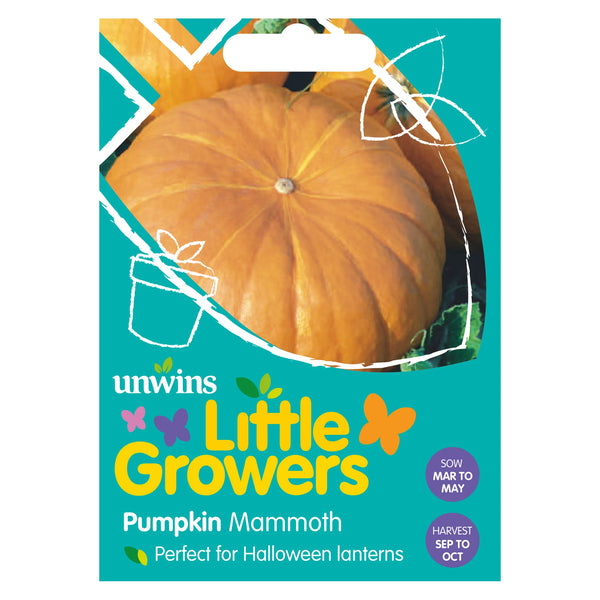 Little Growers Pumpkin Mammoth