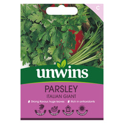 Parsley Italian Giant Seeds - KeansClaremorris