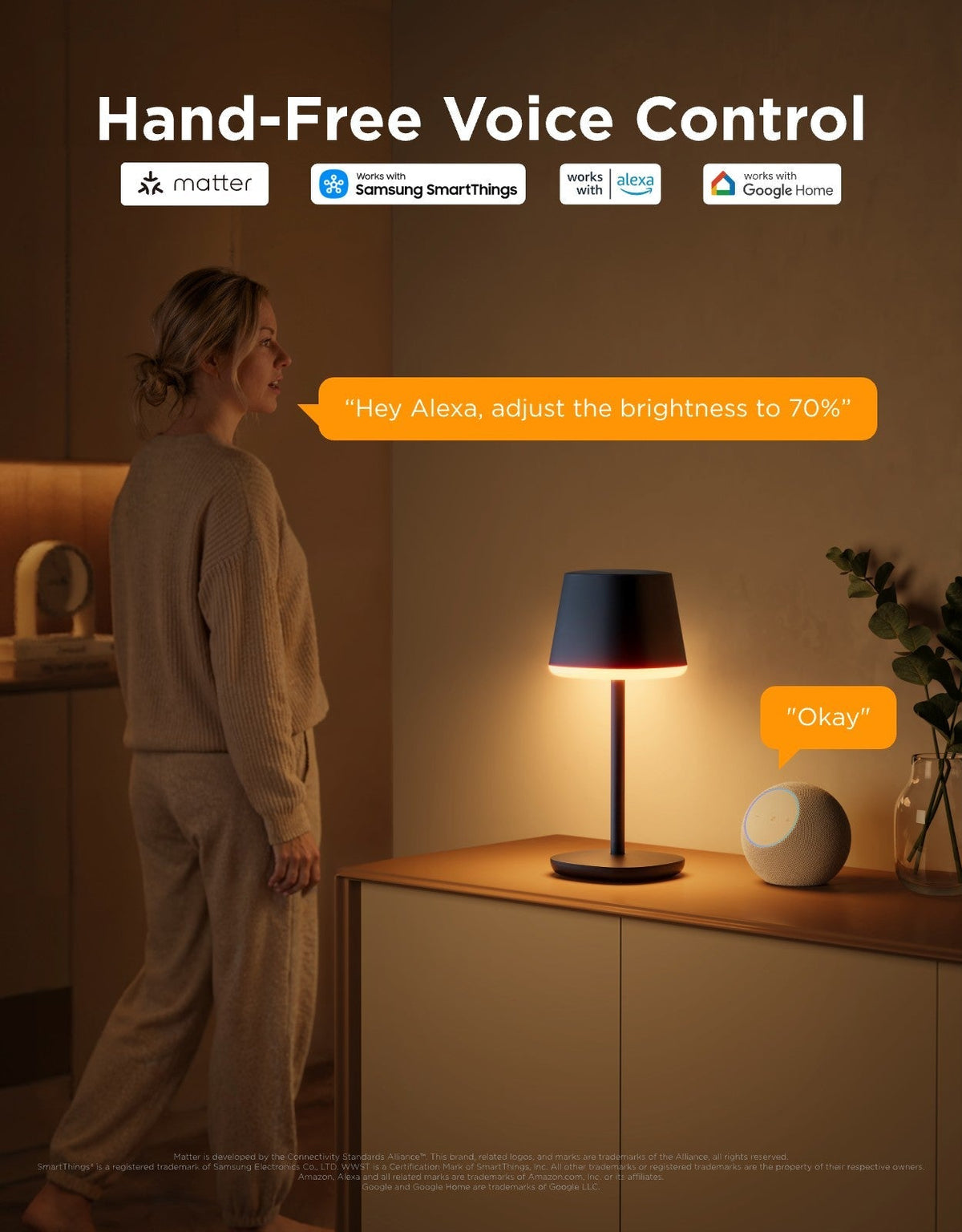 Govee Table Lamp Classic S With Battery | R1741B11 - Image 9