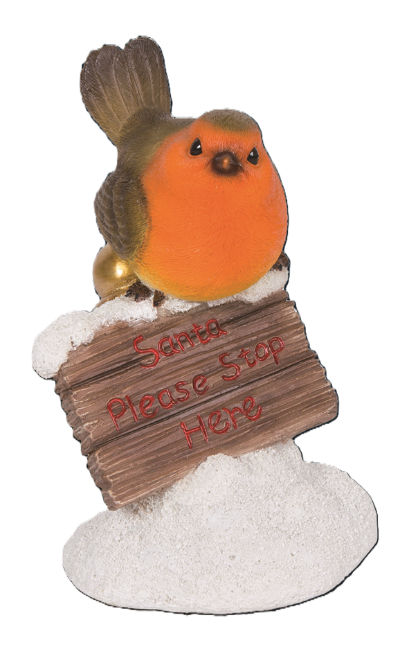 PP Robin on Santa Stop Here F Keans Claremorris