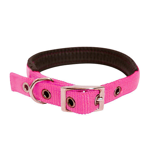 Pink padded pet collar 20-inch with steel buckle, durable nylon, comfortable fit by Keans Claremorris