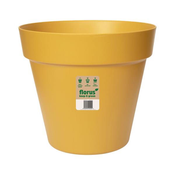 Paris Flowerpot Mustard Keans Claremorris