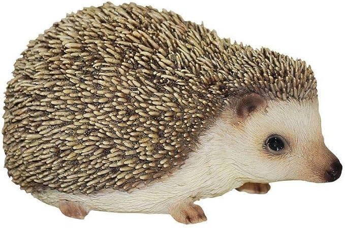 Pet Pals Pygmy Hedgehog F Keans Claremorris