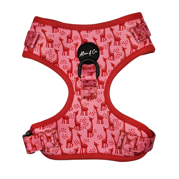 Pink and red giraffe print dog harness with breathable mesh, quick-release clip, adjustable fit by Keans Claremorris.