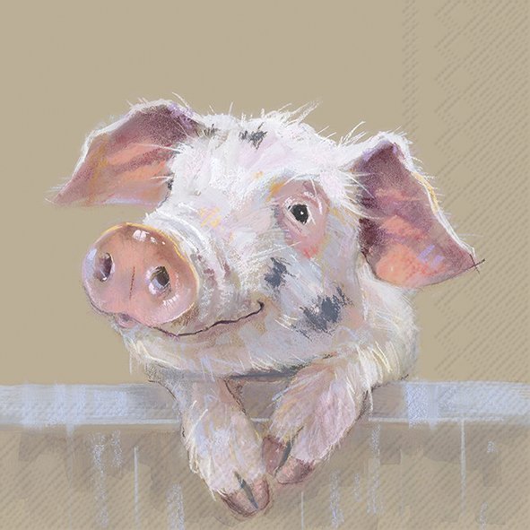 Pig Ruffy Light Brown Lunch Napkins Keans Claremorris