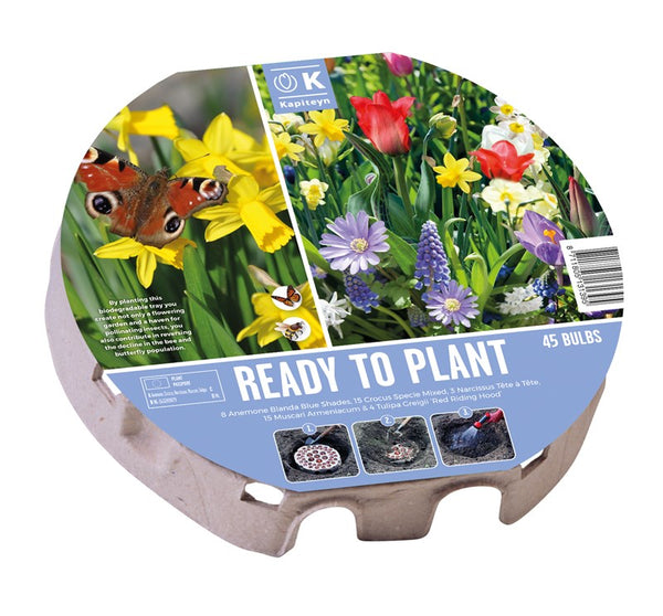 Plant-O-Mat Tray XL – Wild Flowers ( 45 Bulbs) | Keans Claremorris