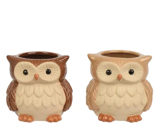 Planter Stoneware Owl Fully Glazed 2 Assorted L.10.7cm x H.10.1cm Keans Claremorris