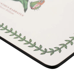 Botanics Garden Placemats Set of 6