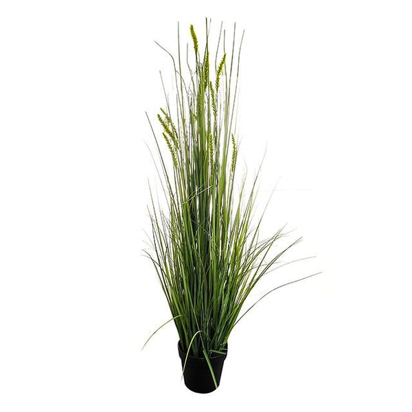 Potted Grass And Green Cattail 137cm Keans Claremorris