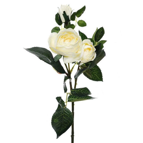 Prize Rose Spray Cream Keans Claremorris