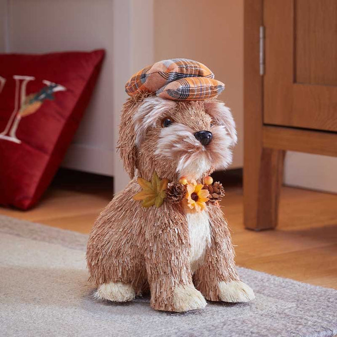 Puppy-In-Plaid Keans Claremorris