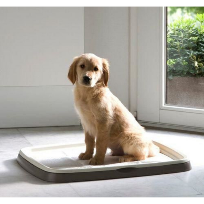 Puppy Loo 55x65cm folding frame with non-slip rubber feet for secure housetraining pads, beige cream - Keans Claremorris