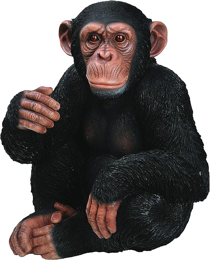 RL Sitting Chimpanzee B Keans Claremorris