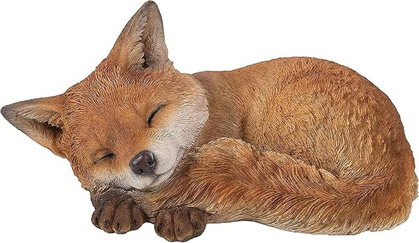 RL Sleeping Fox Cub D Keans Claremorris